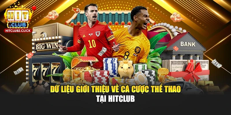 Dữ liệu giới thiệu về cá cược thể thao tại Hitclub