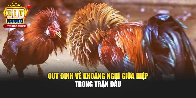 Quy định về khoảng nghỉ giữa hiệp trong trận đấu