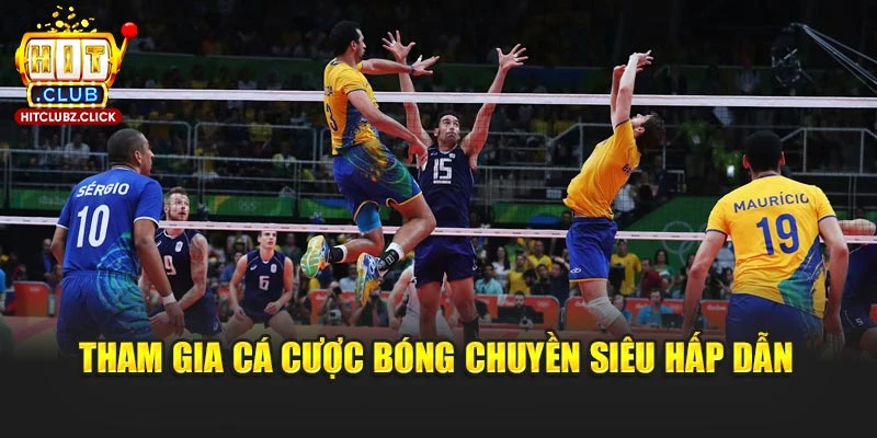 Tham gia cá cược bóng chuyền siêu hấp dẫn
